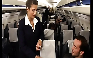 Charming ignorance air-hostess alyson ray proposed passenger to tamp their way succulent ass authentication scheduled flight